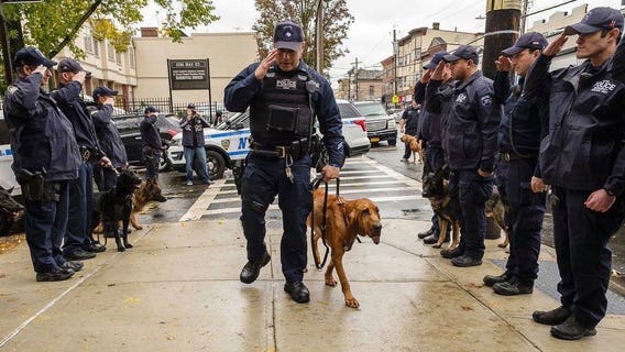 NYPD salutes K-9 just before she loses cancer battle