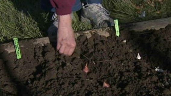 In The Garden: Soil Preparation