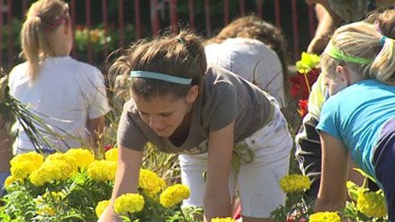 Over 1,000 volunteers chip in during Summerfest's "Planting Day"