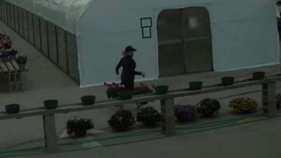Waukesha police: Suspect in custody after theft at flower shop caught on camera