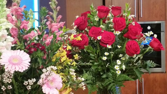 Looking for the perfect place to take your sweetheart this Valentine's Day? The perfect date spot