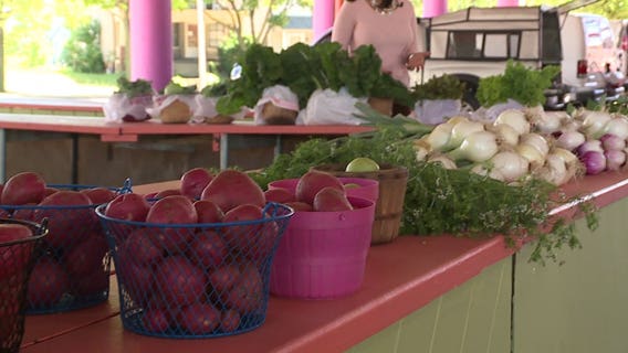 "There are no grocery stores:" Alderman introduces measure to combat so-called 'food deserts'