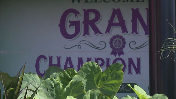 Prize-winning veggies, hand-crafted textiles, photos, art: Lots to see at State Fair's Grand Champion Hall