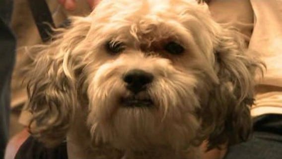 Brewers Hank to get his own "Hank House" at Miller Park