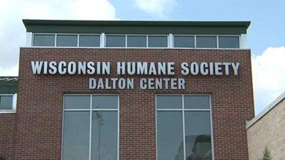 Wisconsin Humane Society donations being matched up to $270K in August