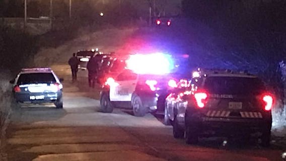 Parolee wanted for robbery arrested after pursuit ended in crash near I-41 and Appleton Avenue