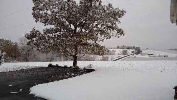 View and submit photos from the Halloween 2019 snowstorm 🎃❄️