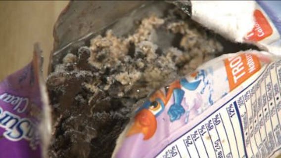 Juice boxes filled with...mold?! How you can protect your family