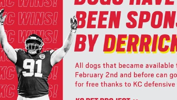 Chiefs player celebrates Super Bowl win by paying adoption fees for shelter dogs