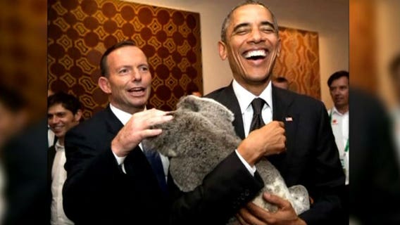 President Obama and Vladimir Putin cozy up to some koala bears