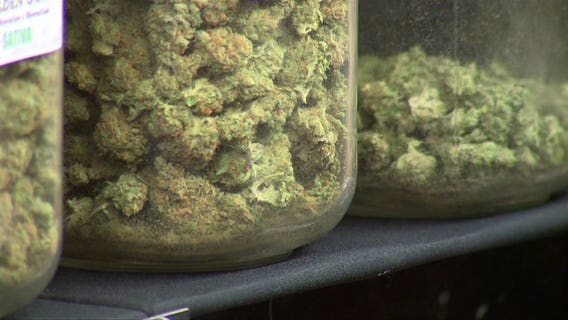 Medical marijuana advocates encouraged after Wisconsin Assembly speaker says he's 'open' to legalization