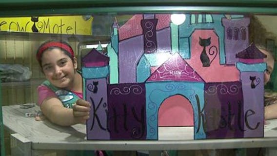 Girl Scouts put their "purrsonalities" into new cat habitat at HAWS