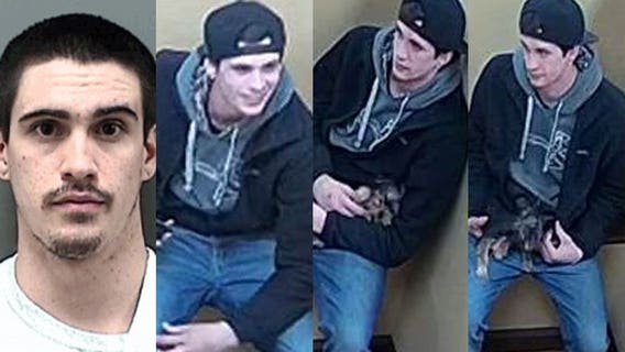 Oak Creek man accused of stealing $4,100 Yorkshire Terrier from Petland in Racine