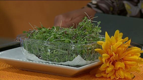 Want a leaner, healthier body? Foods you should eat & how to add them to your diet