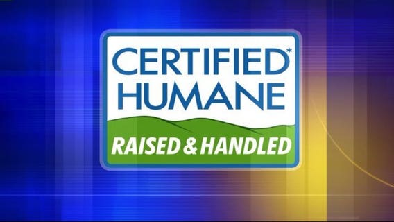 Hosting Thanksgiving and looking to pick the perfect turkey? Label buzzwords to avoid