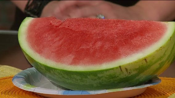 Heading out for a picnic? Ways to keep your food fresh in and out of the cooler