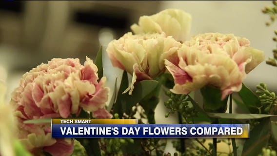 Valentine's Day flowers compared: See what you could get from 4 top services