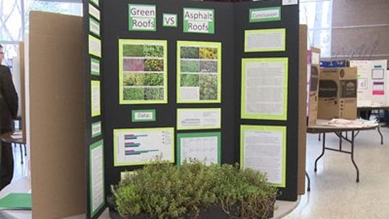 Science in action! MPS features students' work at fair