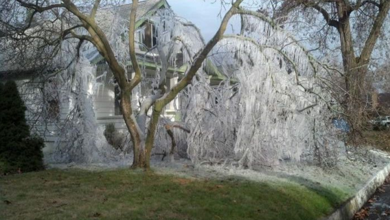 Why you should check your sprinklers during freezing weather