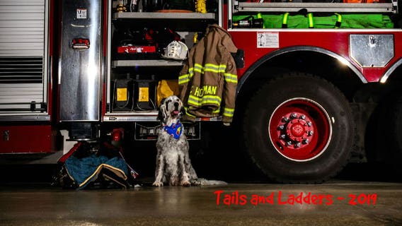 Waukesha police, fire release calendars to benefit HAWS
