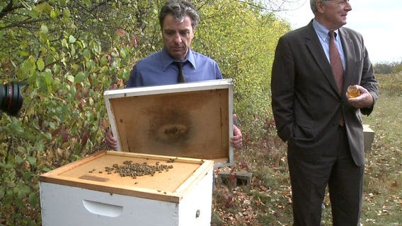 MPS’ Vincent High School starts new urban ag program