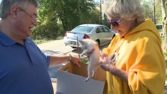 Contact 6 investigates Society of St. Francis Animal Shelter