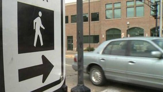 Police looking for vehicle that struck woman, service dog