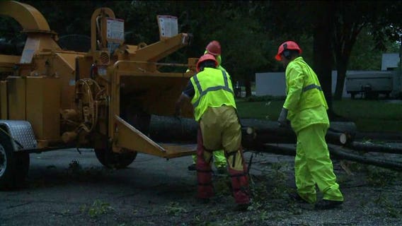 Waukesha County hit hard by Monday's storms: Trees down, and many took power lines with them