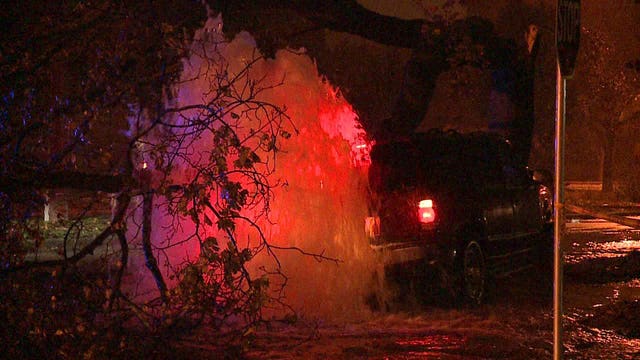 'Never seen nothing like that:' Woman hurt after crashing into hydrant, tree, pulling up water main