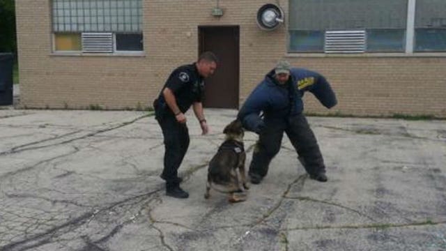 Laura learns how the Racine Police Department trains their K-9 officers to track down criminals