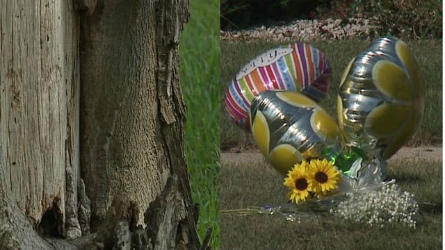 'Saddened by this:' Boys, ages 3, 6, killed in separate weekend tragedies on the road in Waukesha County