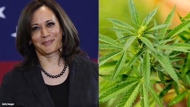 Pot-litics: 2020 Democrats line up behind marijuana legalization