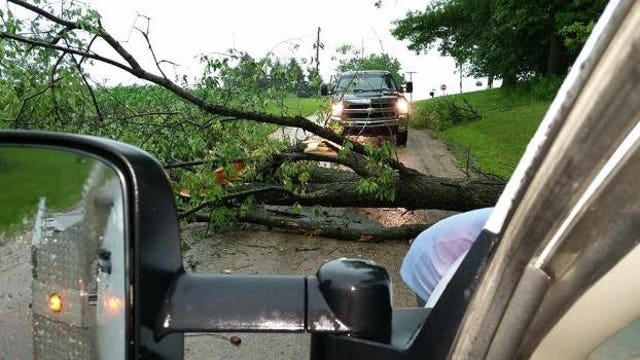 Southwestern, south central WI hit hard by storms; trees downed, power knocked out