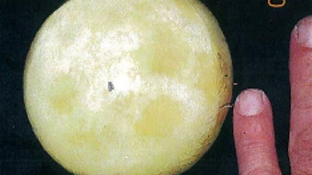 Widow can sue over NASA sting operation to 'forcibly seize' moon rock