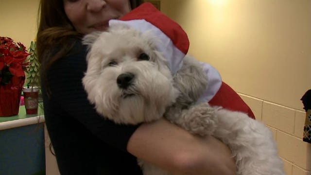 “Santa Hank” delivers toys & supplies to the Wisconsin Humane Society