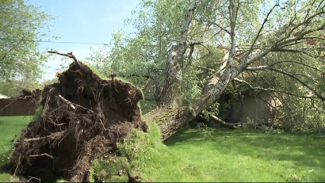 "Trees are down:" Cleanup underway after strong storms roll through, dropping golf ball-sized hail