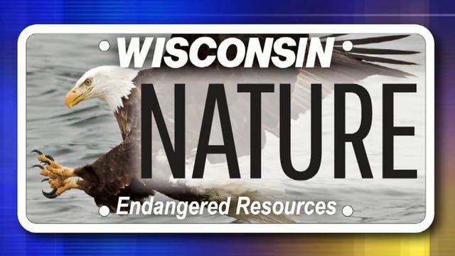 Order yours now: WisDOT begins issuing new license plate featuring American Bald Eagle