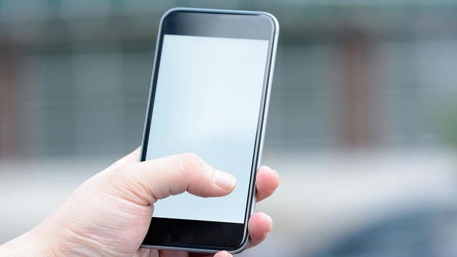 Girl uses mom's thumbprint to unlock phone and buy $250 in Pokemon items from Amazon