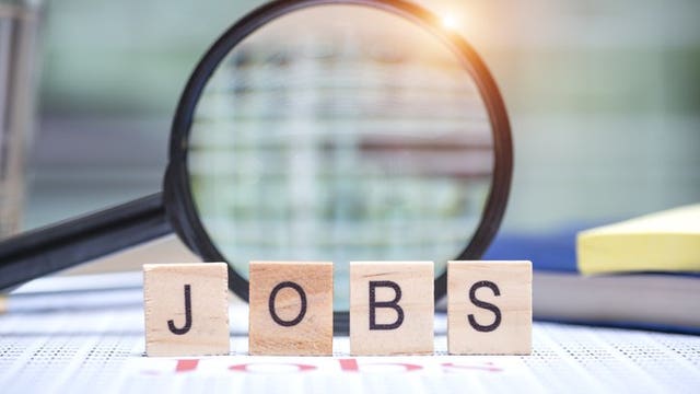 US sheds 701,000 jobs, ending a record-long hiring streak