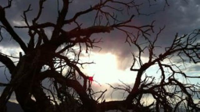 Western U.S. seared by heat as eastern U.S. deluged by storms