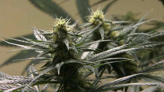 Gubernatorial candidate Matt Flynn would pardon pot offenders