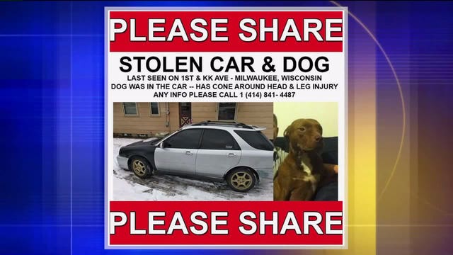 Car stolen, beloved dog inside: Family desperately searches for Trixie, injured, needing meds