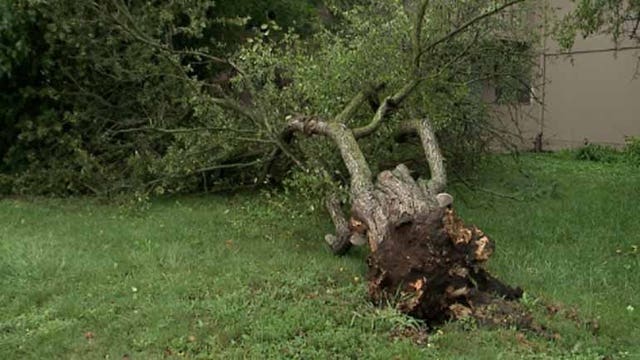 'There were no sirens:' Neighbors assess damage after EF0 tornado in Delavan