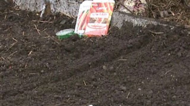 Seeds can be sown now for over a dozen crops