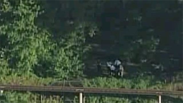 Tigers' den jumper wanted 'to be one' with beast, police say