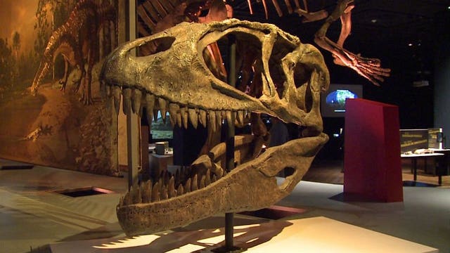Milwaukee Public Museum reopens Thursday, 2 other museums to reopen Friday