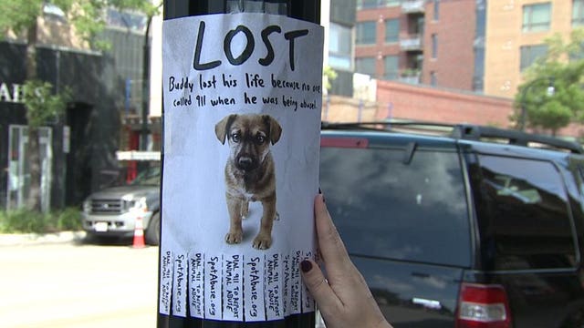 Spreading the word about animal abuse: Volunteers hang posters resembling "lost pet" flyers