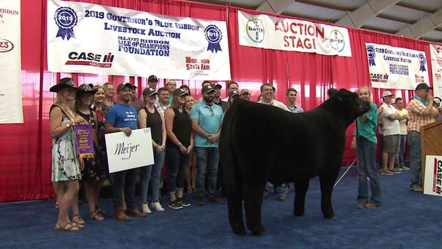 'The best day of the year:' Grand champion steer goes for $47K+ at Wisconsin State Fair