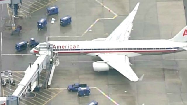 American Airlines flight returns to Kennedy Airport safely after bird strike