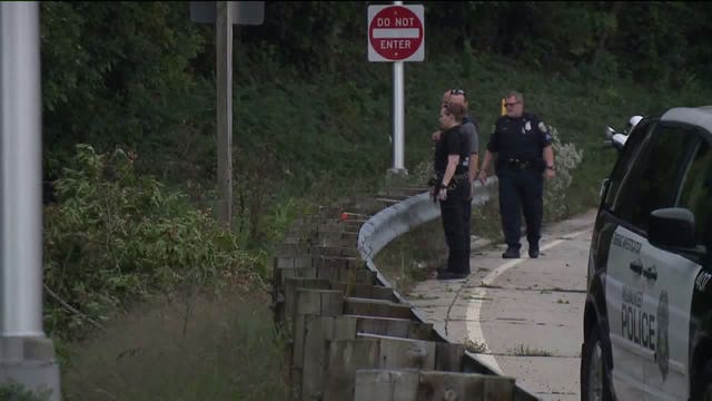 Driver dies after car leaves road at high rate of speed, becomes wedged between stump and tree